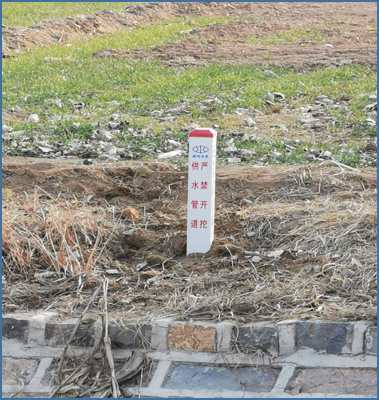 商河县郑路镇有多少人口(2)