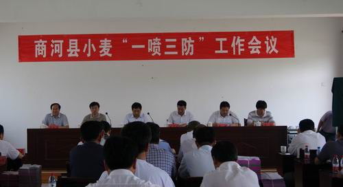 沙河市专业技术人员继续教育网_沙河专业技术