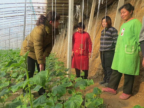 殷棚两人口_光山县殷棚中学图片(2)